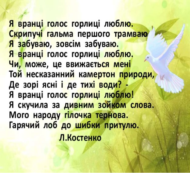 поезія л.костенко